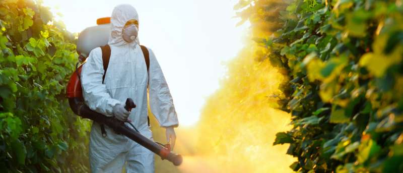 Attic and Crawl Space Pest Treatment